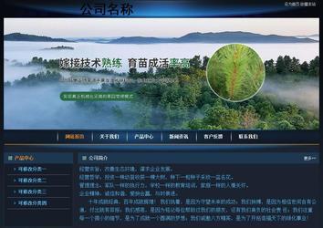 经济型成品案例站No:4946