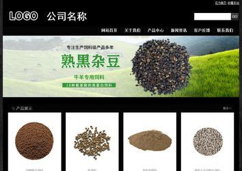 经济型成品案例站No:4953