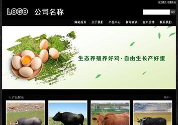 经济型成品案例站No:4953