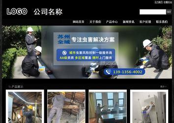 经济型成品案例站No:4953