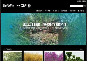 经济型成品案例站No:4953