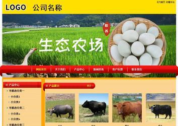 经济型成品案例站No:4975