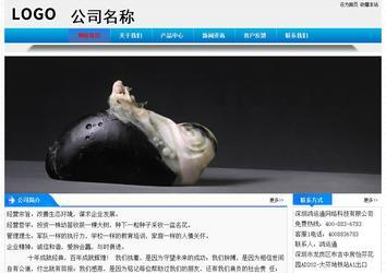 经济型成品案例站No:4984