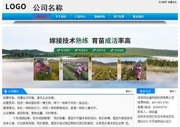 经济型成品案例站No:4984