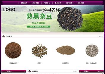 经济型成品案例站No:5001