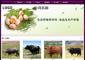 经济型成品案例站No:5001