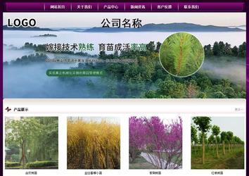 经济型成品案例站No:5001