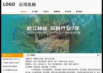 经济型成品案例站No:5049