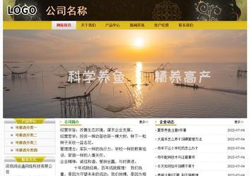 经济型成品案例No:6963