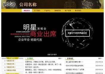 经济型成品案例No:6963