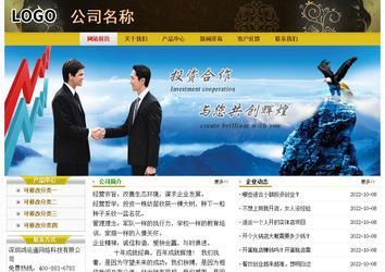 经济型成品案例No:6963