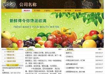 经济型成品案例No:6963