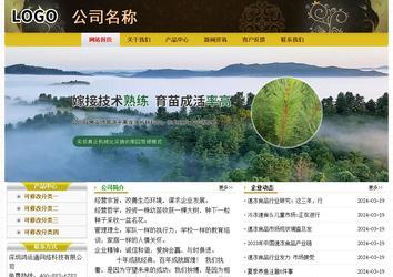 经济型成品案例No:6963