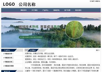 经济型成品案例No:7196