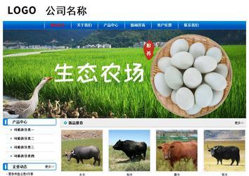 经济型成品案例No:7199