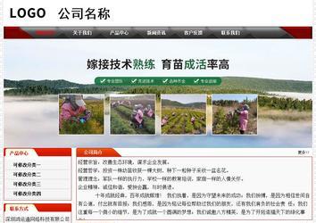 经济型成品案例No:7202