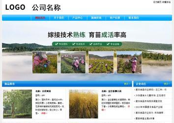 经济型成品案例No:7229