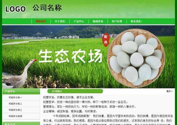 经济型成品案例No:7375