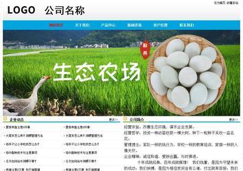 经济型成品案例No:7524