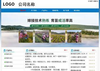 经济型成品案例No:7531