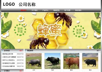 经济型成品案例No:7568