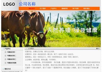 经济型成品案例No:7853