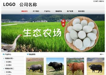 经济型成品案例No7894