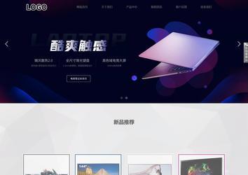 响应式成品案例站No:800