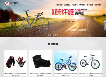 响应式成品案例站No:800