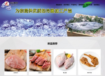 响应式成品案例站No:800