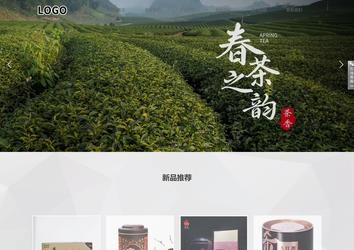 响应式成品案例站No:800