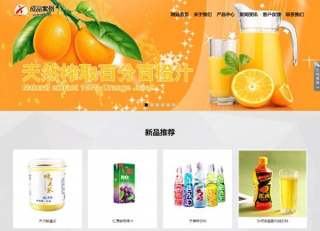 响应式成品案例站No:800