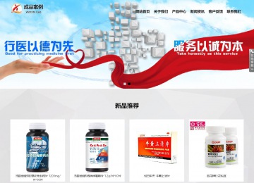 响应式成品案例站No:800