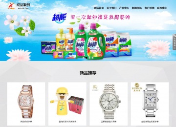 响应式成品案例站No:800