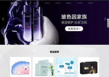 响应式成品案例站No:800