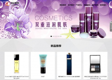 响应式成品案例站No:800