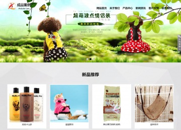 响应式成品案例站No:800