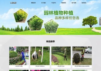 响应式成品案例站No:800