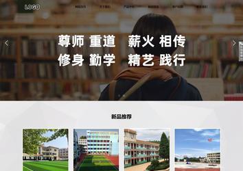 响应式成品案例站No:800