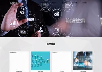 响应式成品案例站No:800