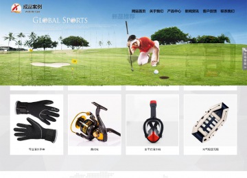 响应式成品案例站No:800