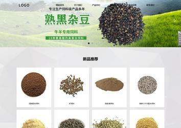 响应式成品案例站No:800