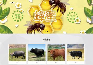 响应式成品案例站No:800