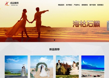 响应式成品案例站No:800