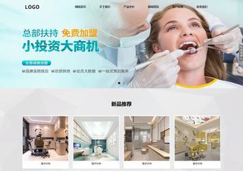 响应式成品案例站No:800