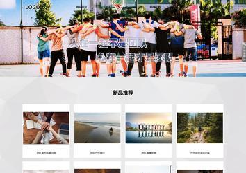 响应式成品案例站No:800