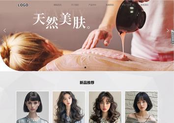 响应式成品案例站No:800