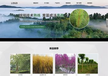 响应式成品案例站No:800