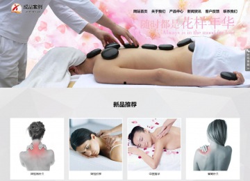 响应式成品案例站No:800