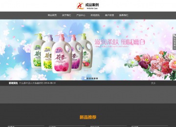 响应式成品案例站No:803